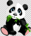 panda invisible